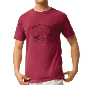 Comfort Colors Garment-Dyed Lightweight T-Shirt
