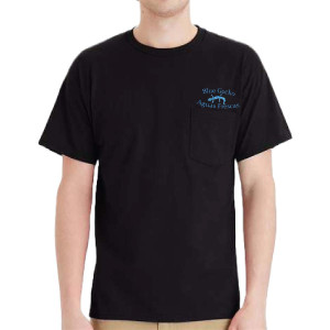 Hanes Essential-T Pocket T-Shirt
