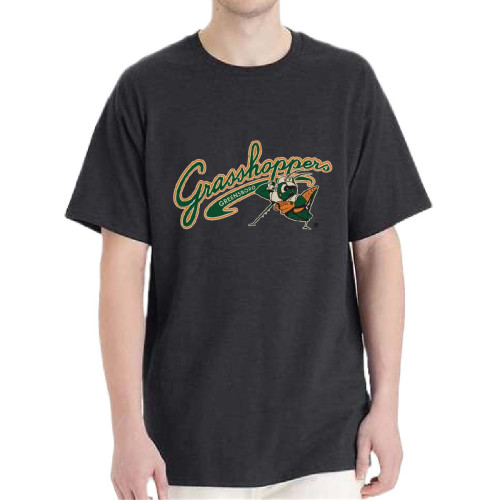 Hanes Essential-T Tall T-Shirt