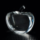 Rylan Apple Award