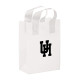 Clear Frosted Loop Shopper Bag - 8x11x4