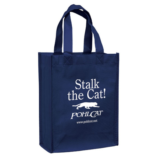 Gloss Laminated Designer Tote Bag - 8x4x10