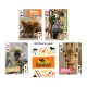 Custom Backs and Faces Poker Size Casino Quality Playing Cards - 100 Deck Minimum