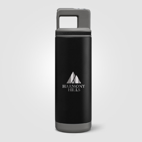 GROSCHE Alpine 20oz Stainless Steel Removable Straw Flip n' Sip Bottle