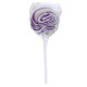 Swirl Lollipop with Round Label Swirl Lollipop with Round Label