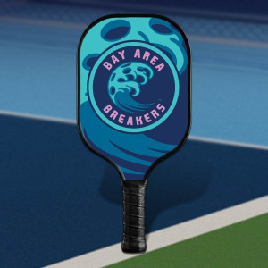 FlexStrike Lite Custom Fiberglass Pickleball Paddle with Black Trim & Black Handle FlexStrike Lite Custom Fiberglass Pickleball Paddle with Black Trim & Black Handle