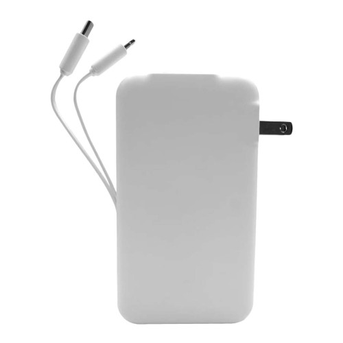 PowerPlus 10,000 mAh 5 in 1 Power Bank and PD Wall Charger