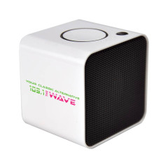 Budget Friendly Speakers