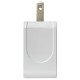 iPort Plus Wall Charger iPort Plus Wall Charger